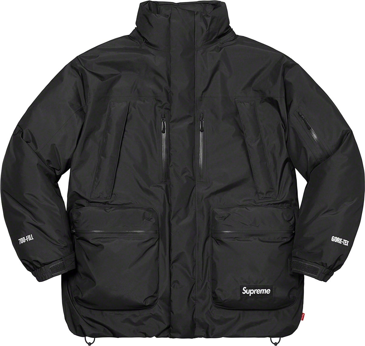 GORE-TEX 700-Fill Down Parka view 2